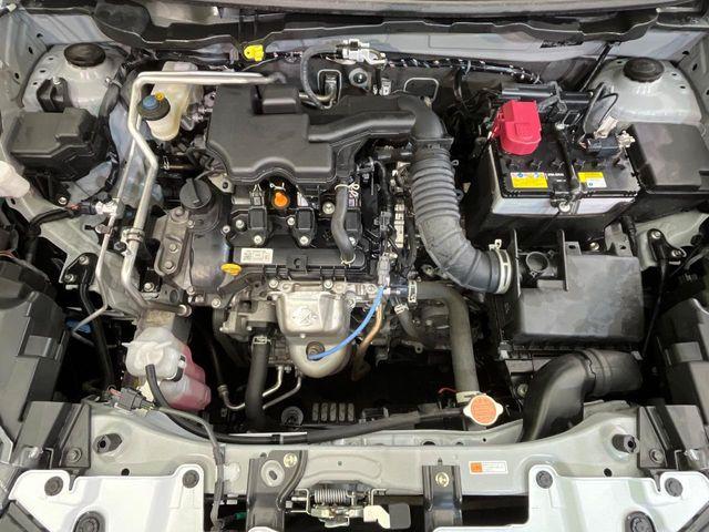 ライズ（新潟県新潟市南区）