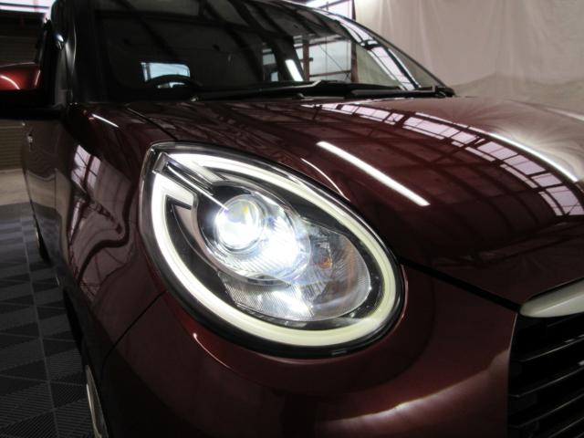 ブーン（新潟県新潟市南区）