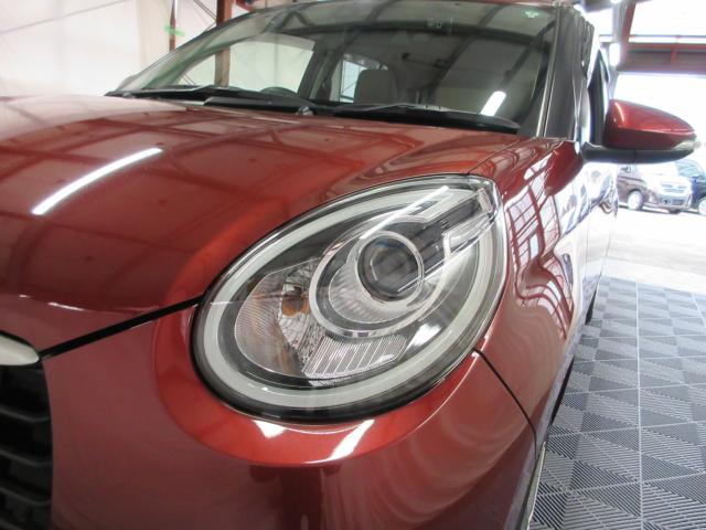 ブーン（新潟県新潟市南区）