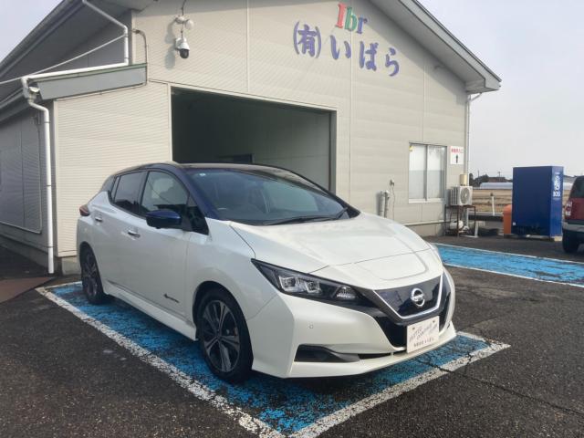 リーフ（新潟県新潟市西蒲区）