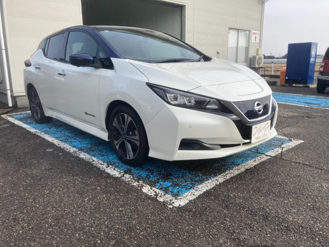 リーフ（新潟県新潟市西蒲区）