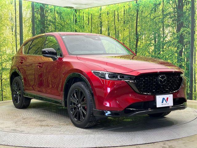 CX-5（新潟県新潟市南区）画像17