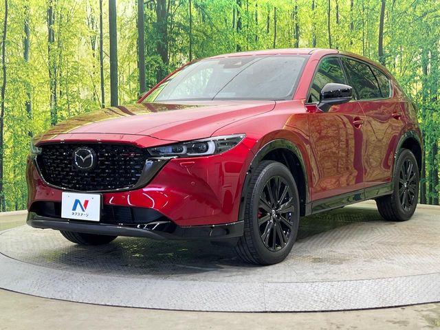 CX-5（新潟県新潟市南区）画像29