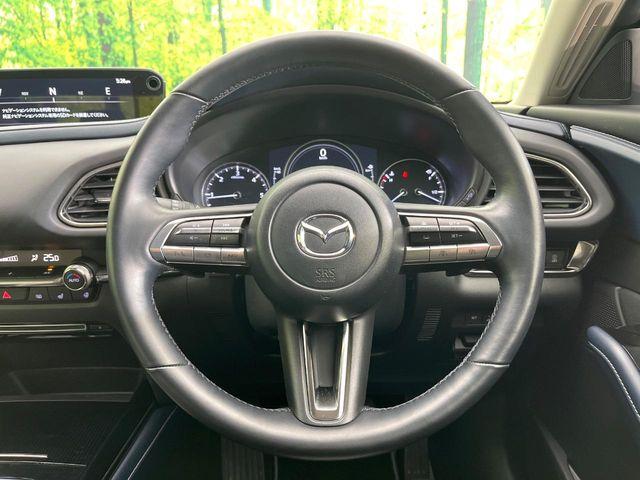 ＣＸ－３０（新潟県新潟市東区）