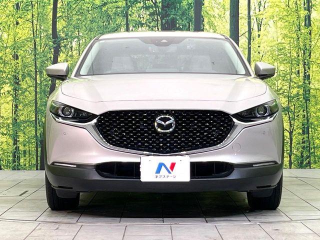 ＣＸ－３０（新潟県新潟市東区）