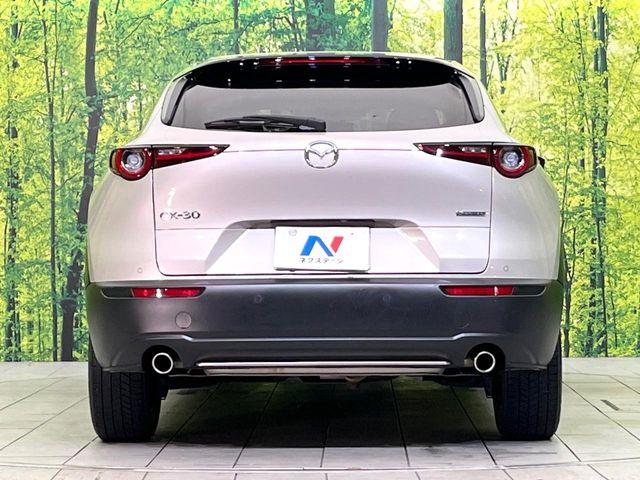 ＣＸ－３０（新潟県新潟市東区）