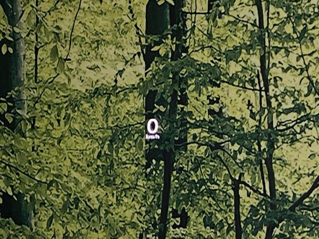 ＣＸ－３０（新潟県新潟市東区）