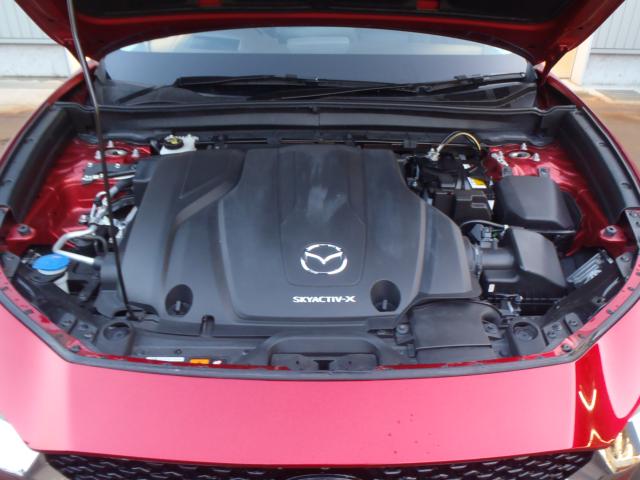 ＣＸ－３０（新潟県新発田市）画像17