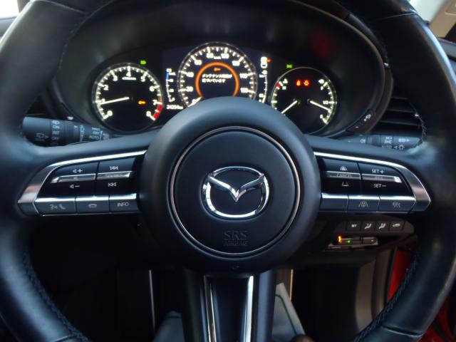 ＣＸ－３０（新潟県新発田市）画像16