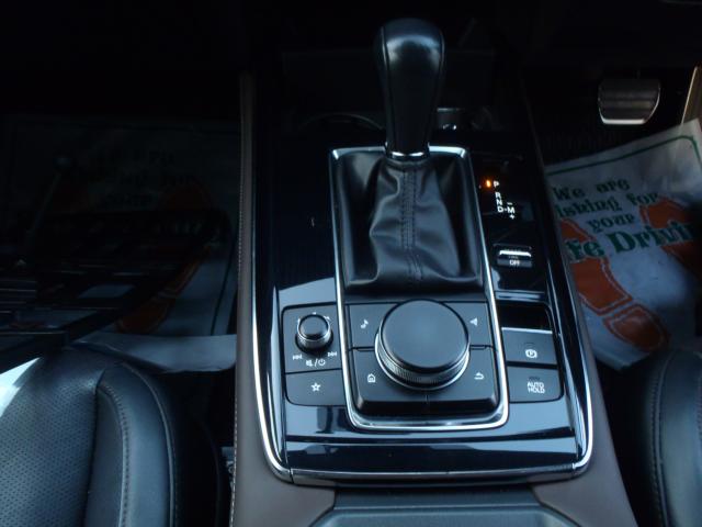 ＣＸ－３０（新潟県新発田市）画像15