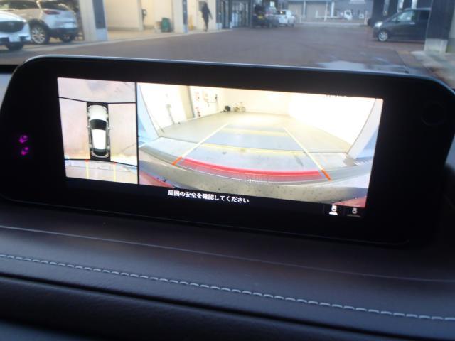 ＣＸ－３０（新潟県新発田市）画像10