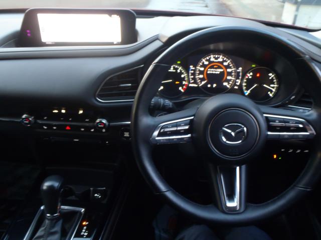 ＣＸ－３０（新潟県新発田市）画像8