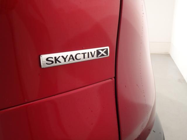 ＣＸ－３０（新潟県新発田市）画像18