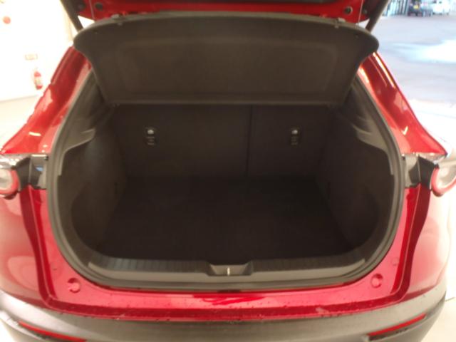 ＣＸ－３０（新潟県新発田市）画像7