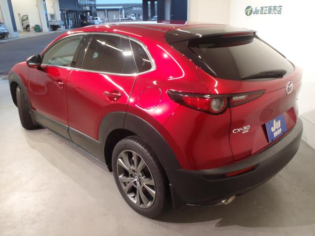 ＣＸ－３０（新潟県新発田市）画像3