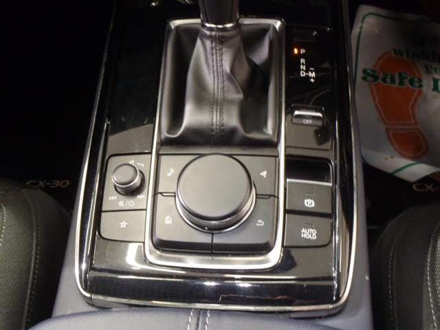 ＣＸ－３０（新潟県新発田市）画像17