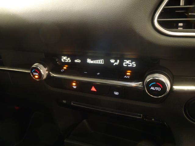 ＣＸ－３０（新潟県新発田市）画像15