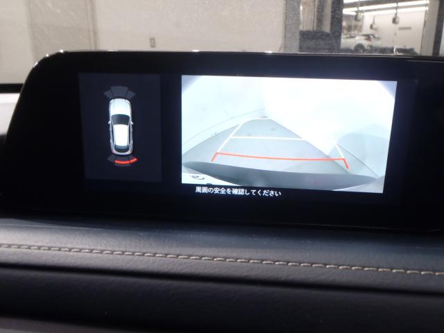 ＣＸ－３０（新潟県新発田市）画像14