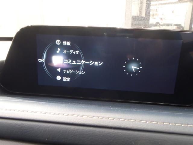 ＣＸ－３０（新潟県新発田市）画像13