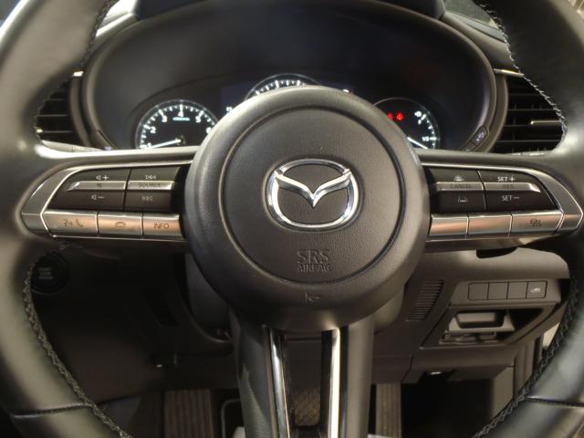 ＣＸ－３０（新潟県新発田市）画像12