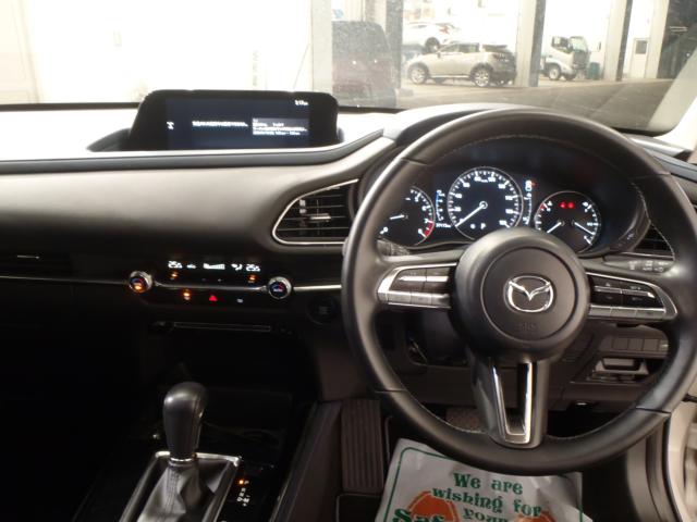 ＣＸ－３０（新潟県新発田市）画像11