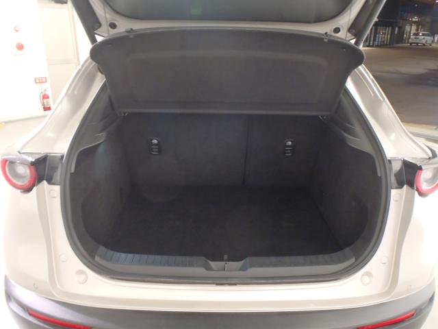 ＣＸ－３０（新潟県新発田市）画像9