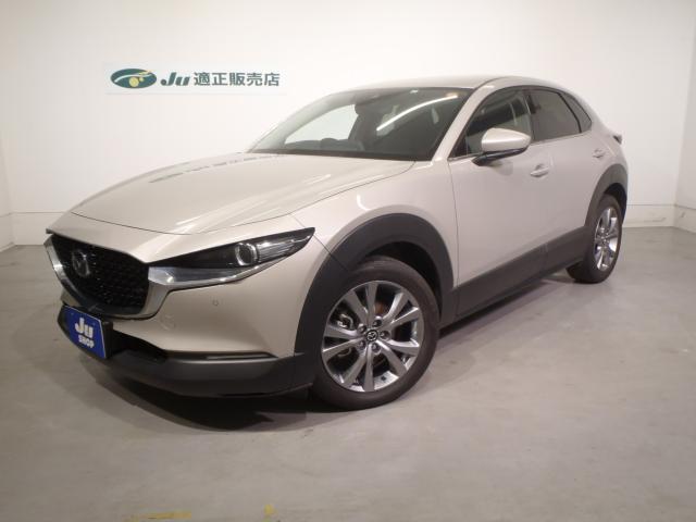 ＣＸ－３０（新潟県新発田市）画像2
