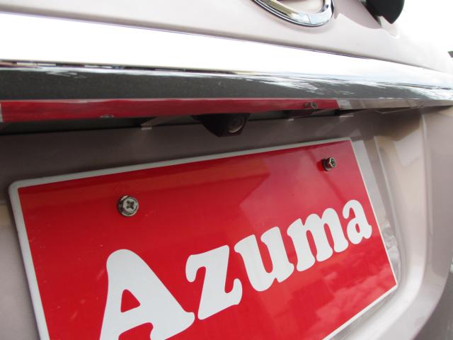 キャスト（新潟県上越市）画像14