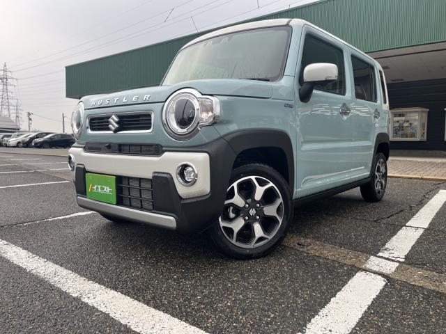 ハスラー（新潟県新潟市西蒲区）