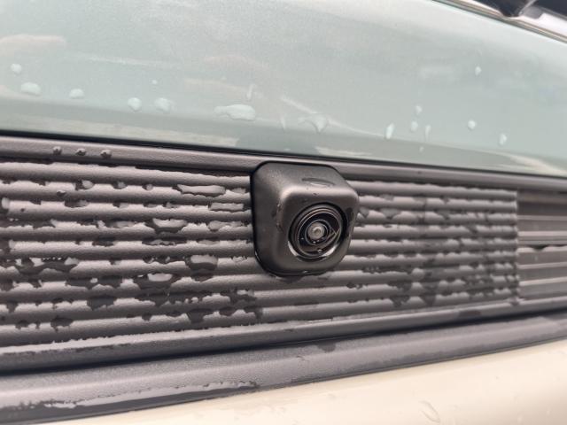 ハスラー（新潟県新潟市西蒲区）