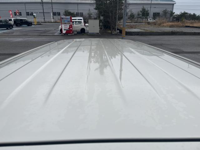 ハスラー（新潟県新潟市西蒲区）