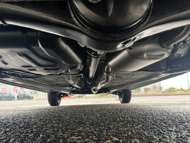 ハスラー（新潟県新潟市西蒲区）