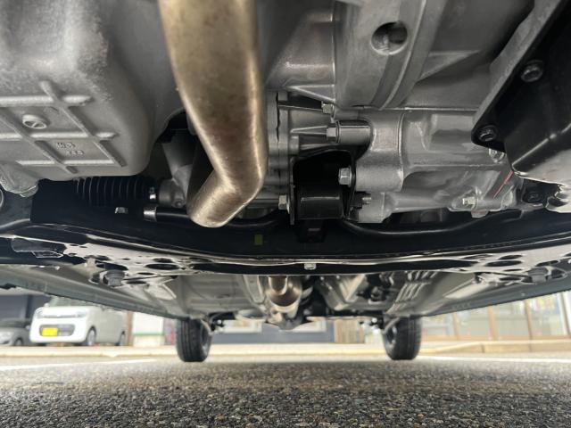 ハスラー（新潟県新潟市西蒲区）