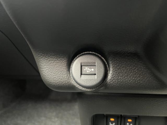 ハスラー（新潟県新潟市西蒲区）