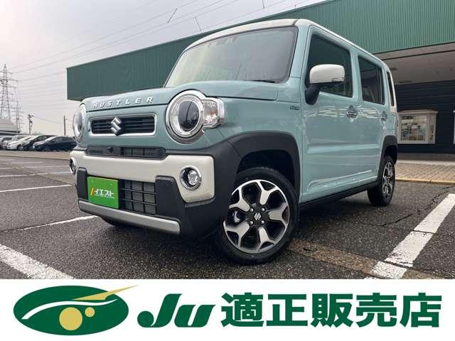 ハスラー（新潟県新潟市西蒲区）