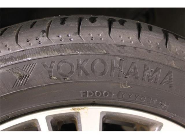 エルグランド（新潟県新潟市東区）