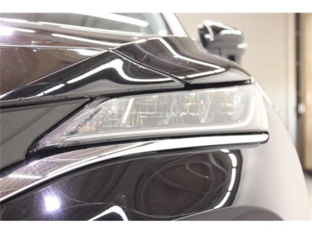 ハリアー（新潟県新潟市東区）