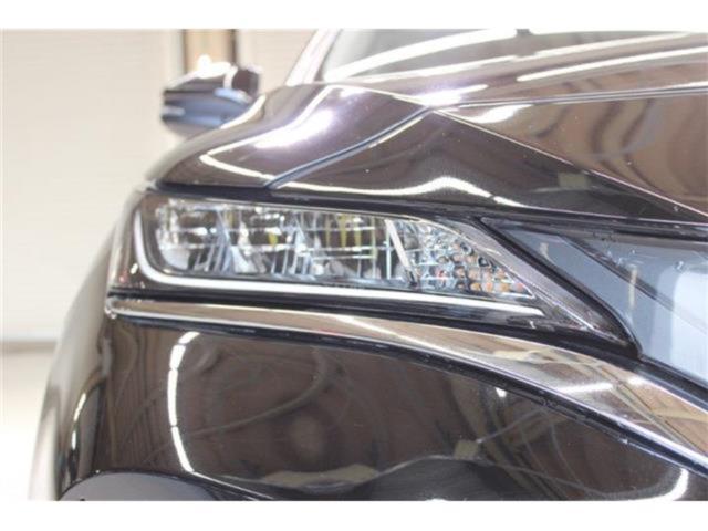 ハリアー（新潟県新潟市東区）