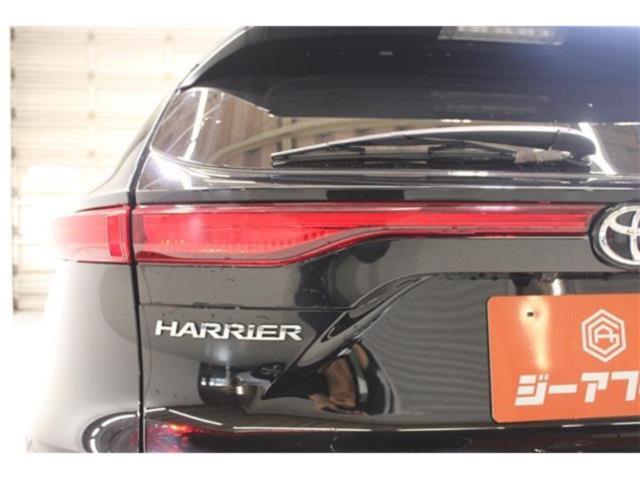 ハリアー（新潟県新潟市東区）