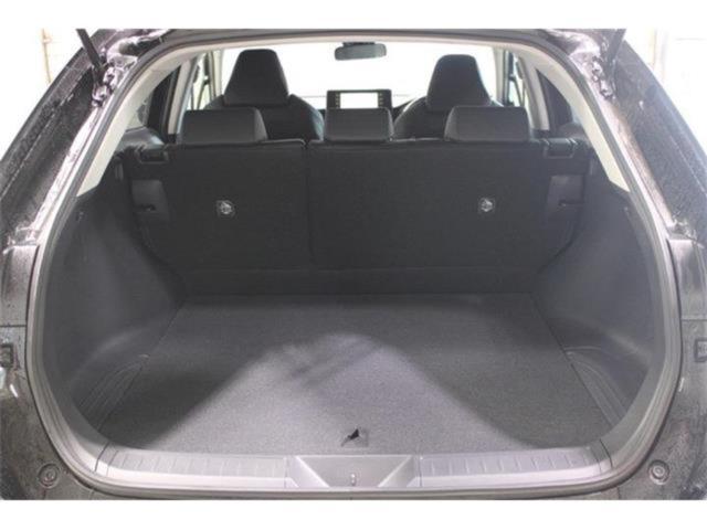 ハリアー（新潟県新潟市東区）