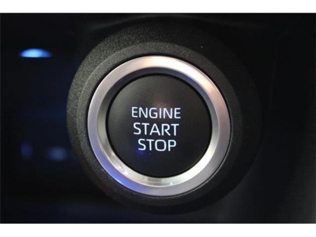 ハリアー（新潟県新潟市東区）