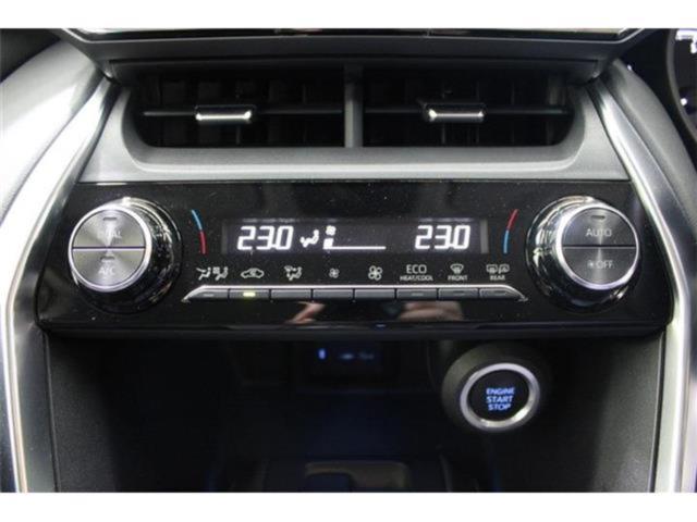 ハリアー（新潟県新潟市東区）