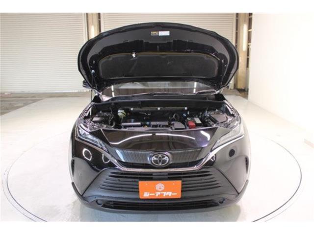 ハリアー（新潟県新潟市東区）