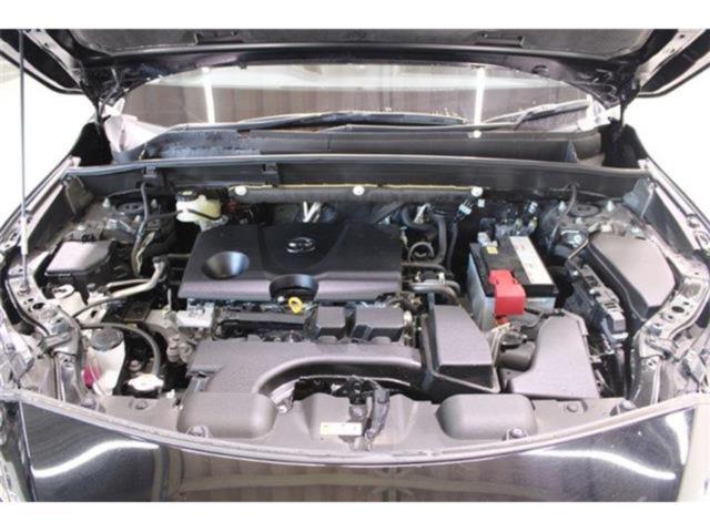 ハリアー（新潟県新潟市東区）