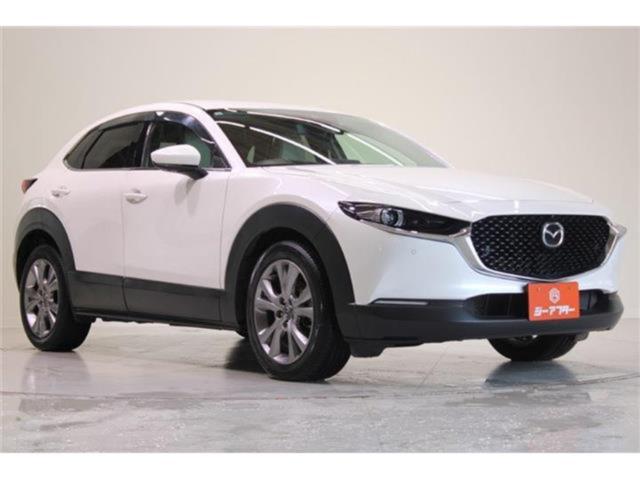 ＣＸ－３０（新潟県新潟市東区）画像7