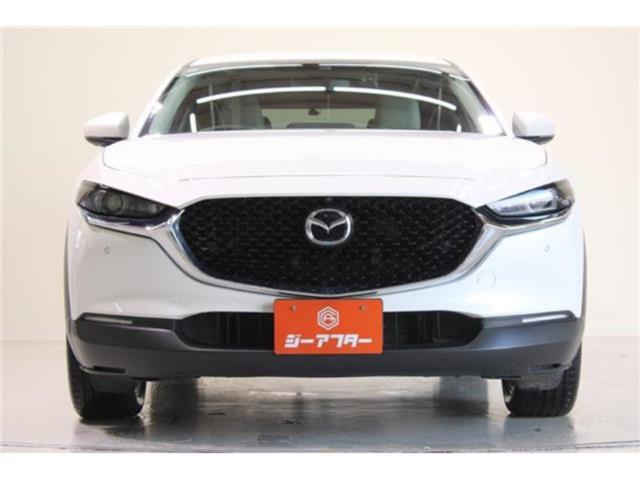 ＣＸ－３０（新潟県新潟市東区）画像8