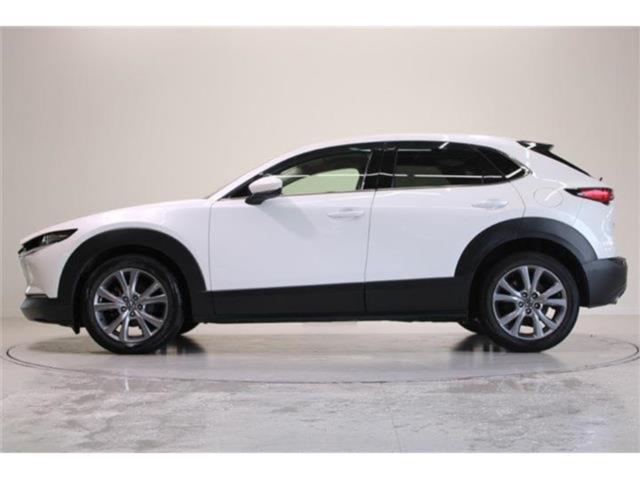 ＣＸ－３０（新潟県新潟市東区）画像10