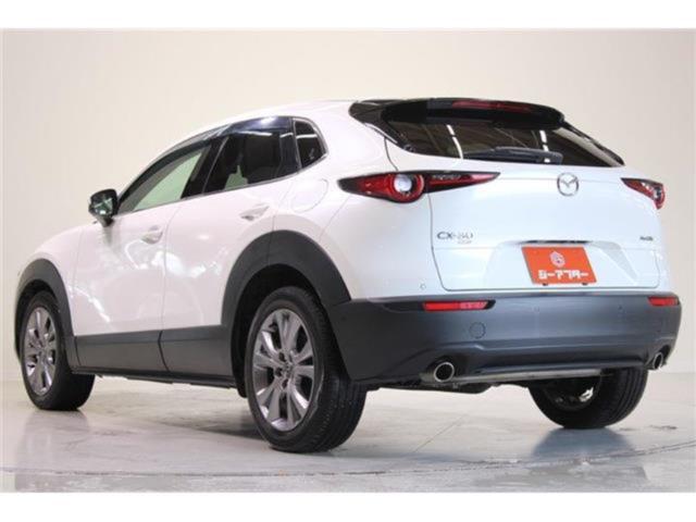 ＣＸ－３０（新潟県新潟市東区）画像11