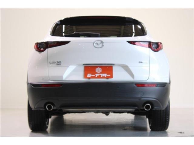 ＣＸ－３０（新潟県新潟市東区）画像12