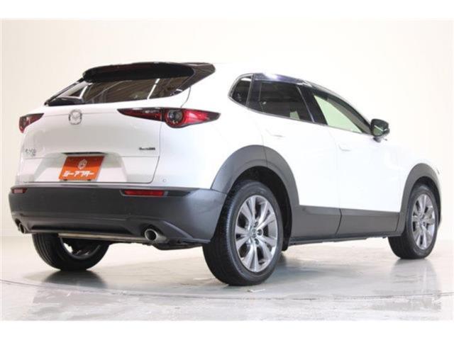 ＣＸ－３０（新潟県新潟市東区）画像13